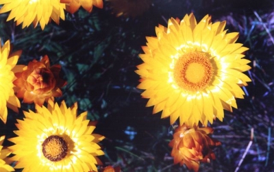 Ninety_Two0011