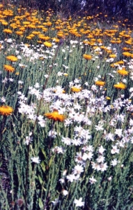 Ninety_Two0044