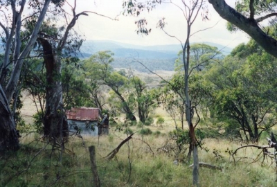 Harris Hut amongst the trees (photo by Peter) - Farts 19940094.jpg
