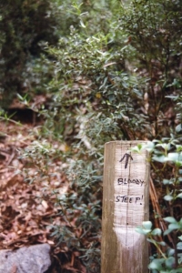Bottom of Diamantina Spur (Peter) - 31.jpg