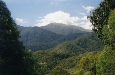Mt.Bogong from Falls Creek road (Peter). - 0070.jpg