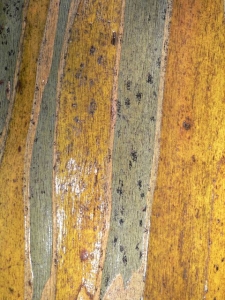 P1080533