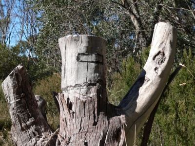 Appearance by Ned Kelly. - P1080569.JPG