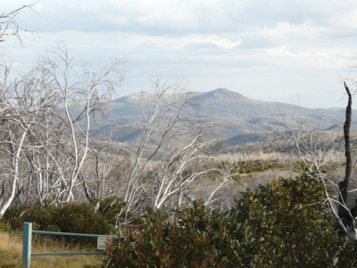 P1010968