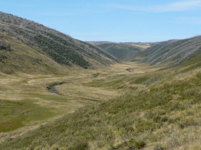 P1010986