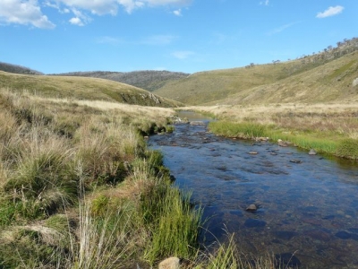 P1020027