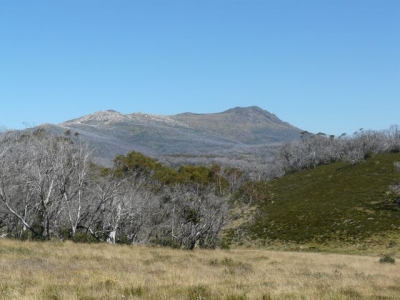 P1020116