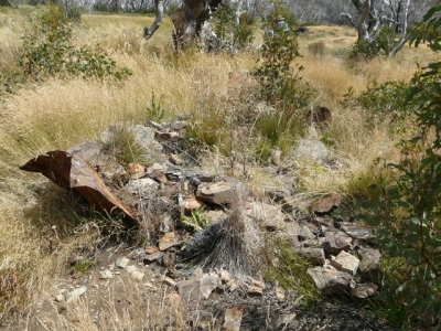 Old fireplace. - P1020255.JPG