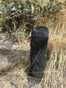 Corner post. - P1020258.JPG