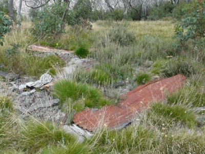 Remains of roof. - P1020259.JPG