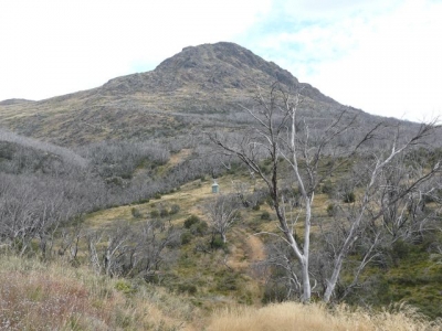 P1020267