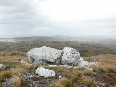 P1020329