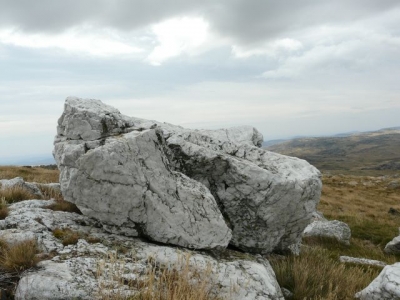 P1020330