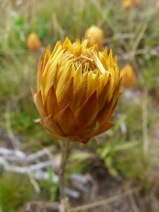 P1020360