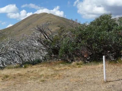 P1070423