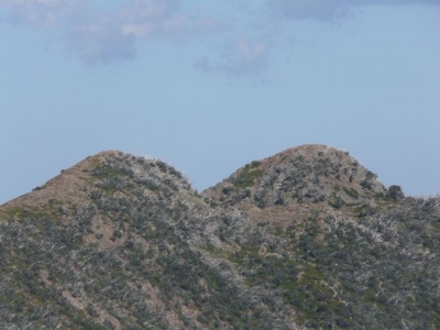 P1070425