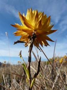 P1070473