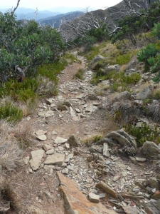 Rough track to MUMC. - P1070506.JPG