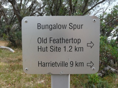 Top of Bungalow Spur. - P1070610.JPG