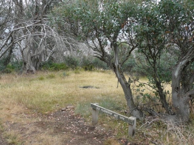 Old Feathertop Hut site. - P1070664.JPG