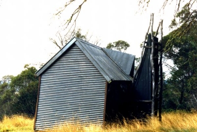 1990 - Boobee 19900001.jpg