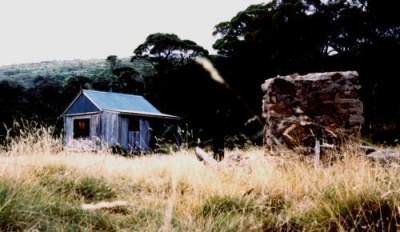 Burrungubugge_Shelter1993