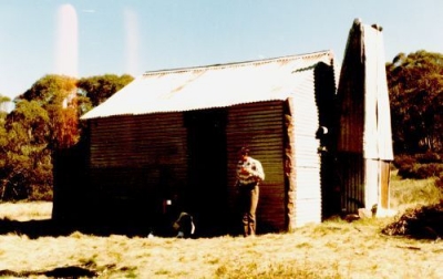Cool_Plain1986