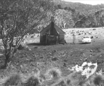 Delaneys1972