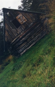 Dibbins 1997 (Vic) - Dibbins0002.jpg