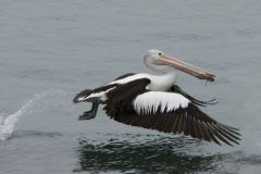 Lift off - Adjusted crp.jpg