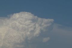 Cloud Dog - P1060259.jpg