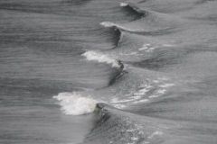 Wake 2 - p1140138.jpg