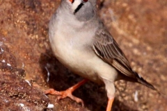 IMG_5028ca