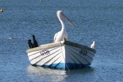 P1030327