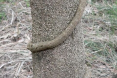 P1050771