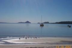 calm_morning