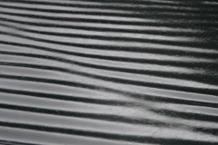 p1140131