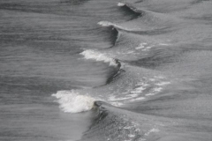 p1140138