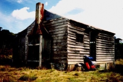 Gavels1995