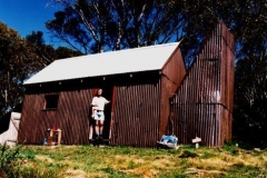Grey_Mare1992
