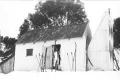 Grey_Mare_c1970
