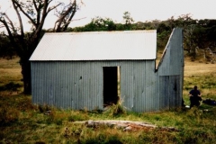Hainsworth1994