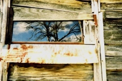 Harris Hut window (Car Windscreen) 1994 - Harris_Hut_Windscreen_window1994.jpg