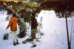 img056 r.jpg