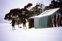 img062  r.jpg