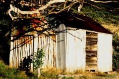 Kidmans1993_2