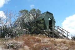 Burnt trees close to the hut. - P1070387.JPG