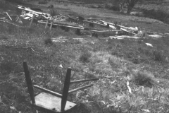 Ruins of Old Alpine Hut (near Delaneys) 1972 - RuinsofoldAlpinehutwebsite.jpg