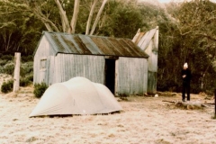 1986 - Patons1986.jpg