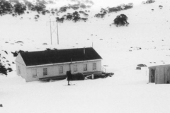 Schlink Hilton 1972 - Schlink_Hilton1972.jpg